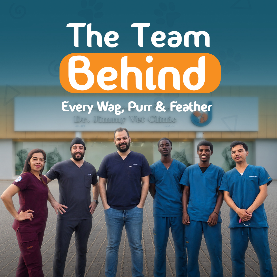 Veterinary services and pet care at Dr. Jimmy Vet Clinic, Ras Al Khaimah